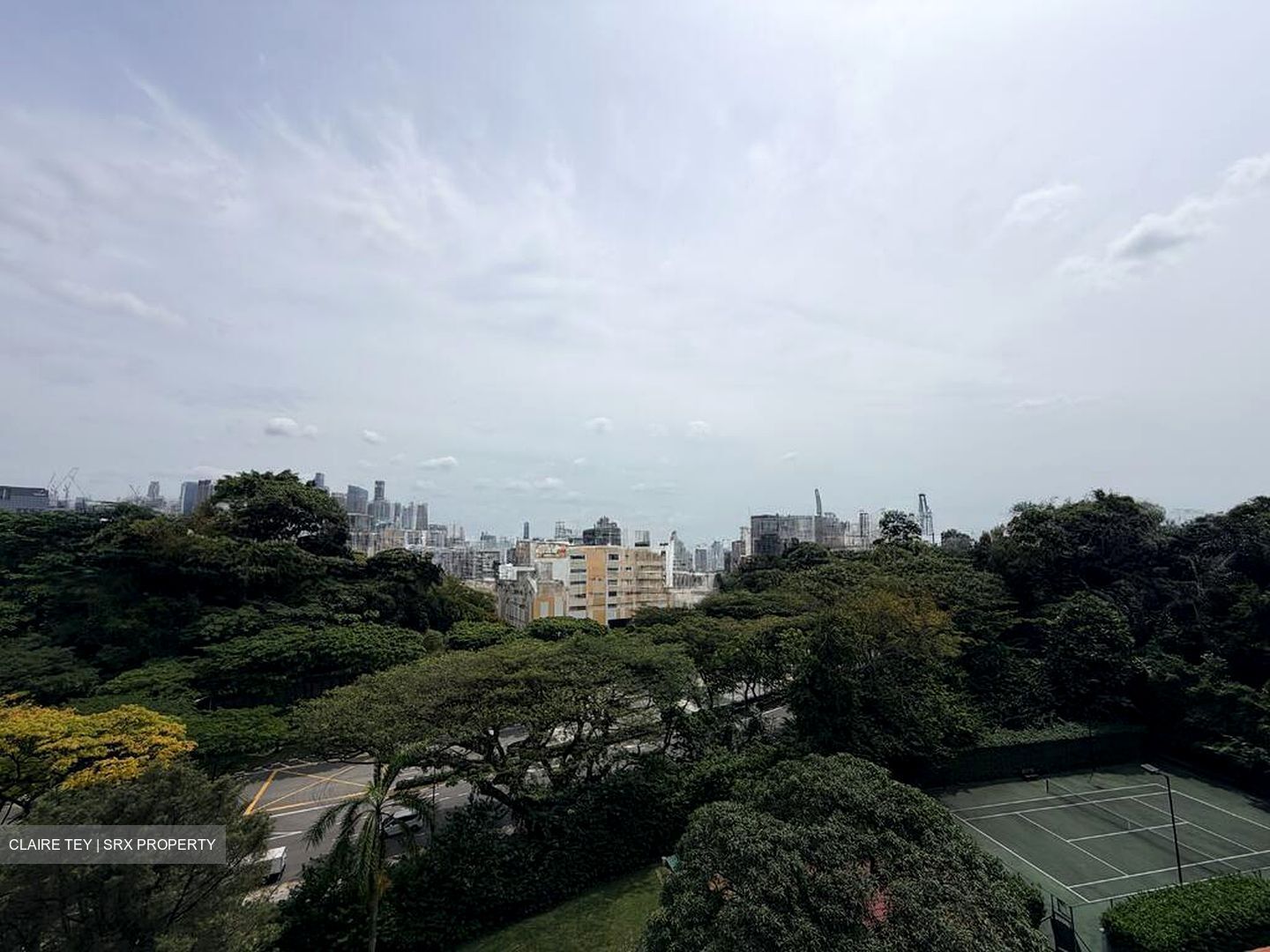 Mount Faber Lodge (D4), Condominium #522299191